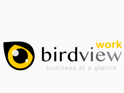 birdview.work time tracking software