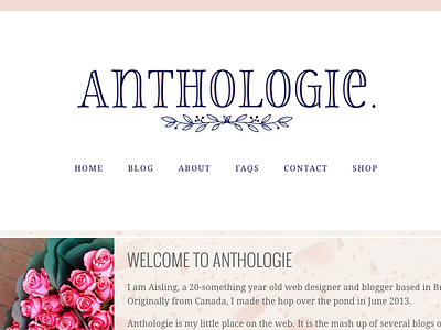 Upcoming Blog Redesign blog branding logo pink redesign website