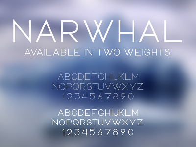 Narwhal Typeface