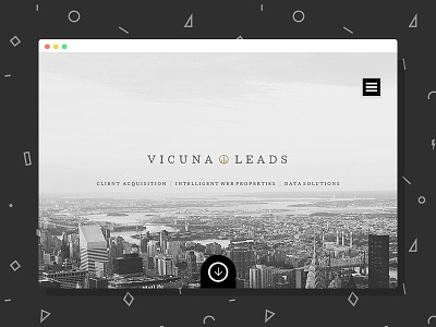 Vicuna Leads animation black white house interaction leads mortgage one page real estate responsive ui ux web