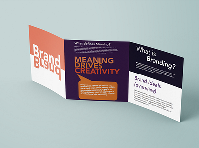 Branding Brochure branding design graphic design icon logo vector