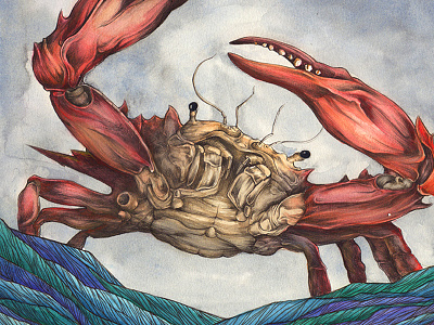 The Crab ballpoint illustration pen watercolor