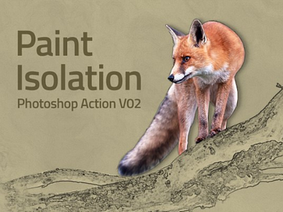 Paint Isolation Action