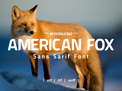 American Fox Sans Sarif Font brand display font font sans serif type typography