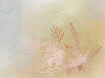summer memoris abstract background bouqet design flowers frames graphic design illustration