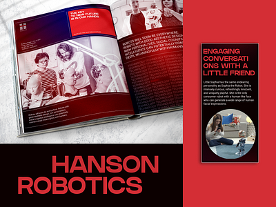 Hanson Robotics. Redesign website