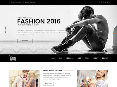 Crazy Fashion - eCommerce  template