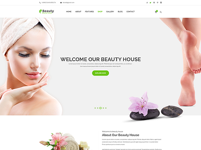 Beautyhouse – Health & Beauty HTML Template beauty css3 fullscreen slider health html5 jquery multicolumn