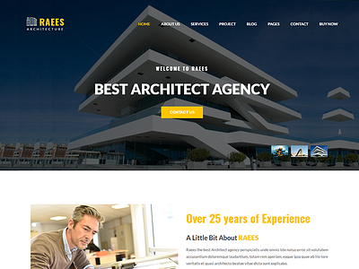 Raees – Creative Responsive Architecture Theme agency architect architecture building construction creative design minimalist responsive simple white wp