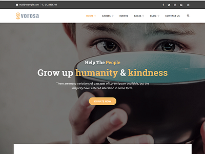 Vorosa - Charity Fundraising WordPress Theme
