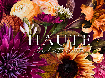 Haute Floral Clip Art Collection botanical clipart design floral flower