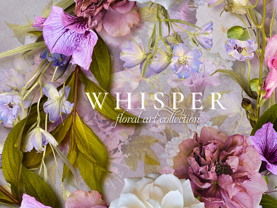 Whisper Floral Clip Art Collection botanical clipart design floral flower