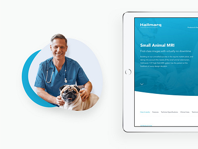 Veterinary imaging specialists: Marketing platform