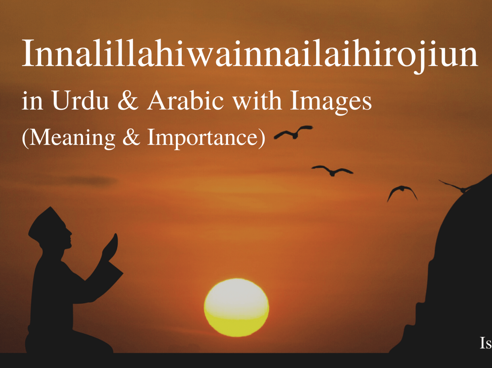 Dribbble Innalillahiwainnailaihirojiun In Urdu Arabic With Images