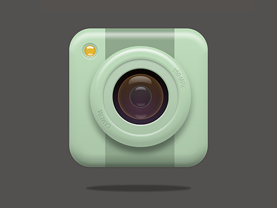 Cute camera icon for practice