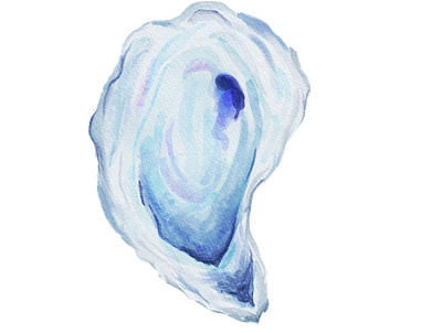 Blue Watercolor Oyster Shell branding clipart design graphic illustration logo oyster procreate