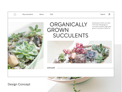 Succulents Store design ecommerce landing store succulents ui ux