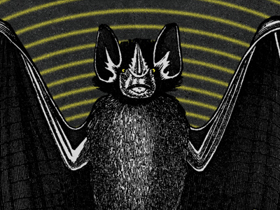 Torche Tee Design apparel bat black illustration torche yellow