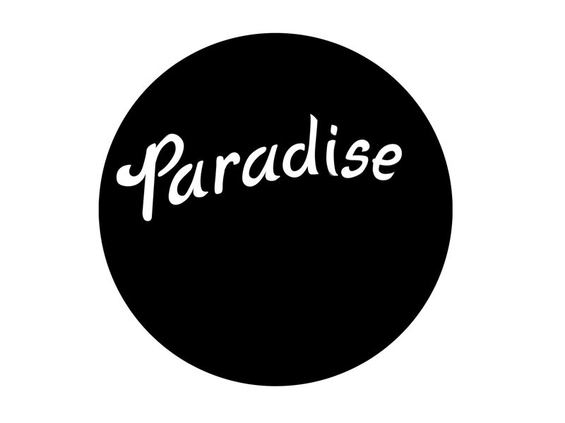 Paradise in motion logo animation after effects animation gif logo motion particles
