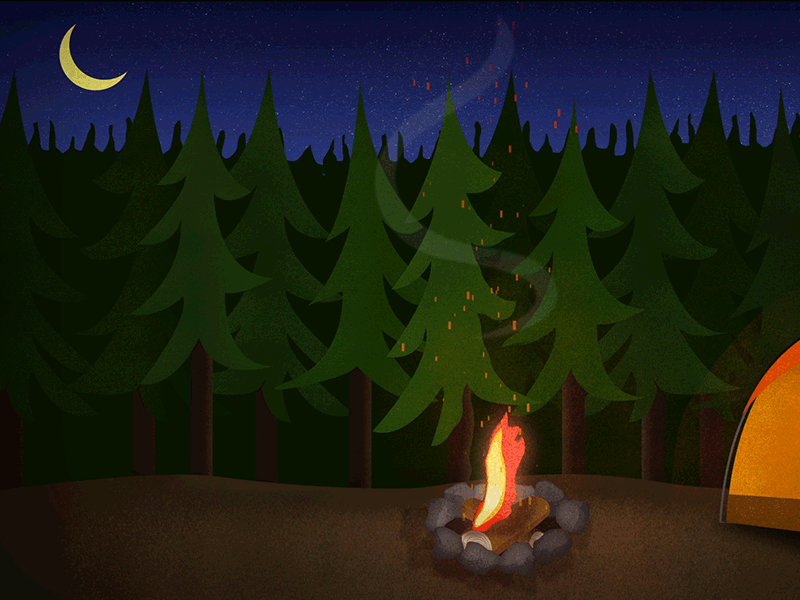 Campfire and moon animation camping cell animation fire illustration motion design texture