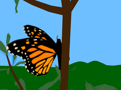 Butterfly Scene 3d animation butterfly c4d cinema 4d cinema4d gif illustration loop motion design motion graphics