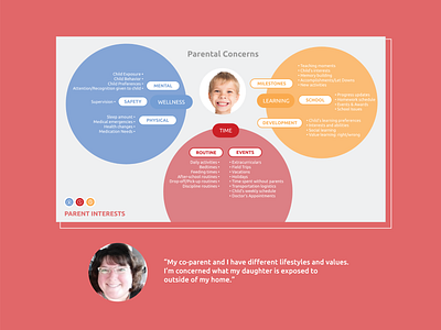 Co-parent Concerns Conceptual Model