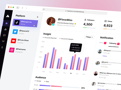 Hypesos - Social Media Analytic Dashboard