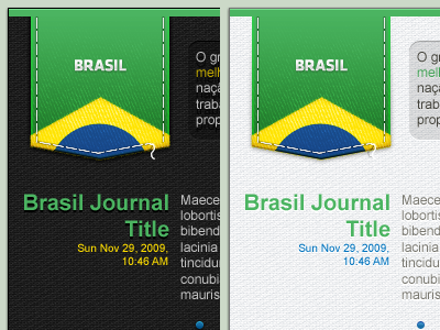 Brasil Journal Skin