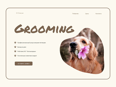 The concept in minimorphism style. concept design figma grooming minimorphizm webdesign