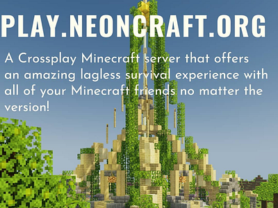 Another posted concept for Neoncraft