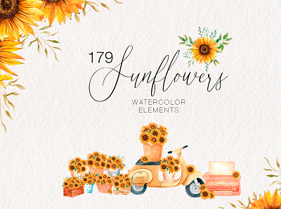 Watercolor sunflowers collection branding cards graphic design illustration logo sunflowers watercolor flowers