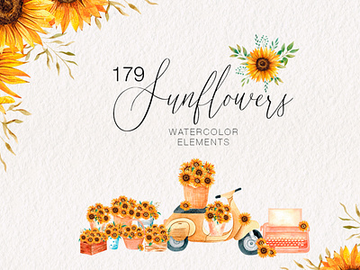 Watercolor sunflowers collection