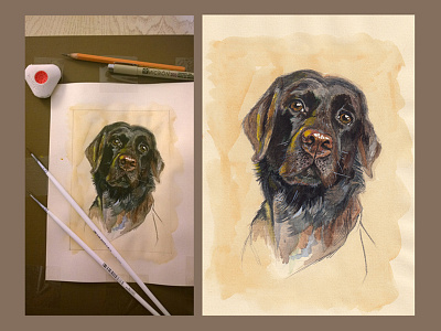 Labrador portrait. Watercolor. animal animals art dog friend home illustration labrador pet portrait sketch watercolor