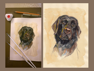 Labrador portrait. Watercolor.