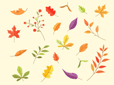 fall leaves design graphic design illustration typography vector