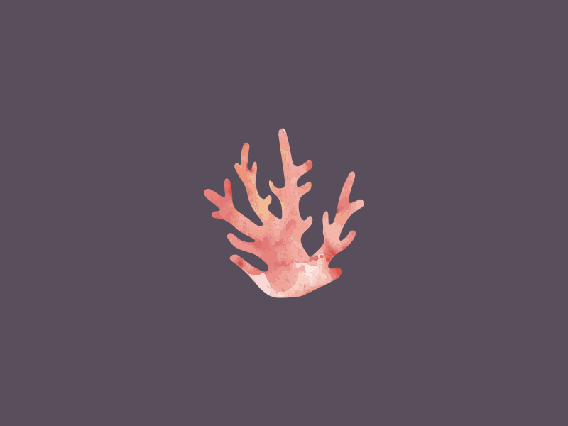 Coralie Design Co—Logo Mark illustration orange pink corals flat design watercolor purple logo mark logo coaralie coral