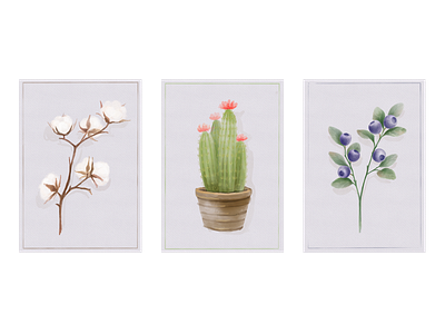 Postcards illustration plant postcard watercolor