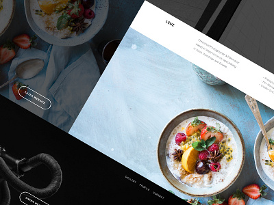 LENZ – #1 artist design layout minimal photographer portfolio template web website