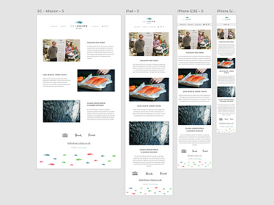Sea Chips – Mission Page Concept