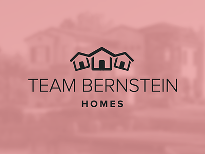 Team Bernstein Homes house houses illustrator logo photoshop proxima nova real estate team typography
