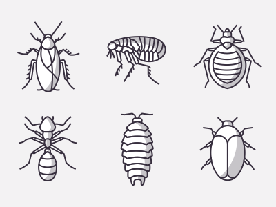 Icons Of Insects Part 1 animals bug cockroach icon set icons illustration insect line logo n infographics outline ui design