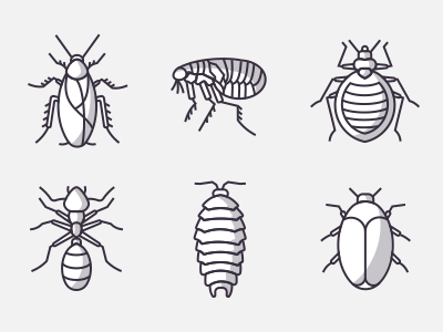 Icons Of Insects Part 1