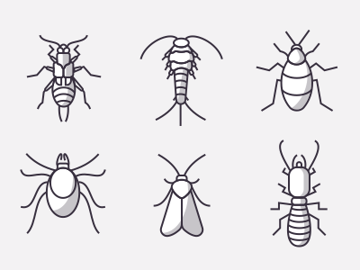 Icons Of Insects Part 2 animals bug cockroach icon set icons illustration insect line logo n infographics outline ui design