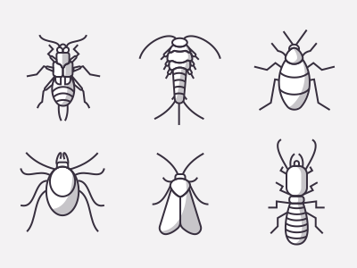 Icons Of Insects Part 2