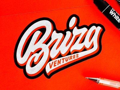 Briza brand briza calligraphy customtype font lettering logo logotype script type typography