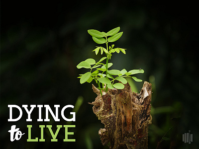 Dying To Live dying to live sermon series