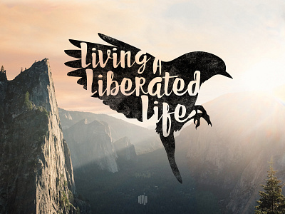Liberated Life bird freedom ihatetaggingphotos liberate sunset thisbirdisprettyawesome