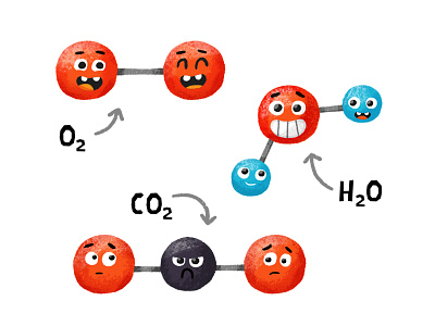 molecules co2 h2o o2