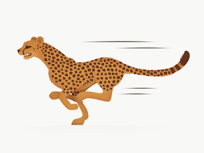 cheetah cheetah illustration skwirrol