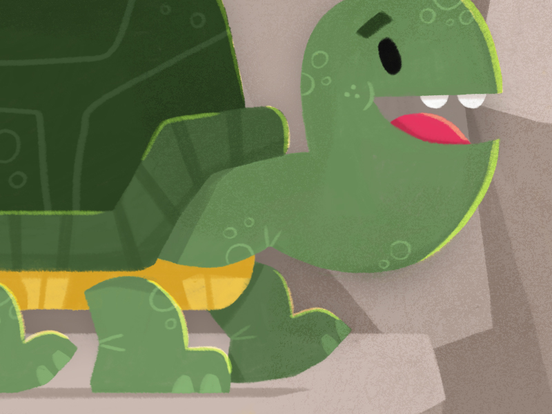 turtle by eva galesloot | skwirrol on Dribbble